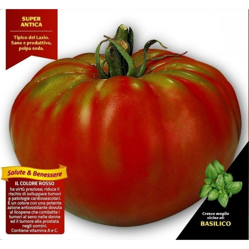 Price: €1.95 - Semillas de tomate Pantano Romanesco - 