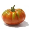 Beefsteak tomato seeds Pantano Romanesco