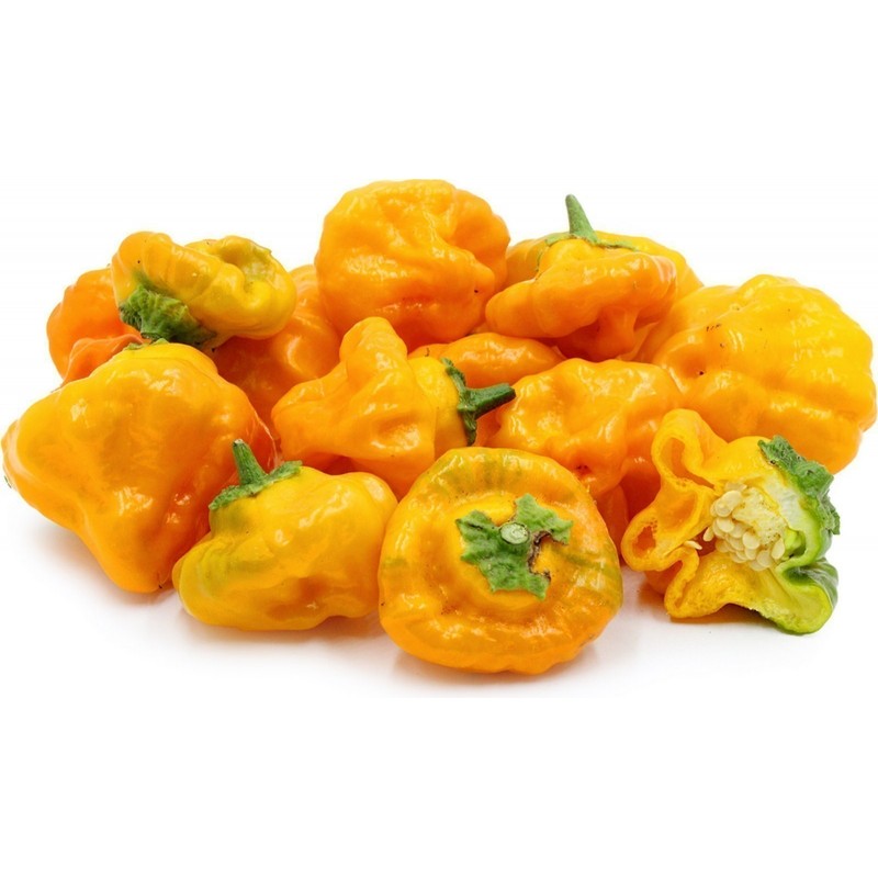Price: €2.25 - Red Cap Mushroom Chili – Rote oder Gelb Pilzform Chiii Samen - 