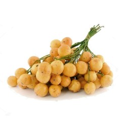 Burmese Grape Seeds (Baccaurea ramiflora) - 4.455