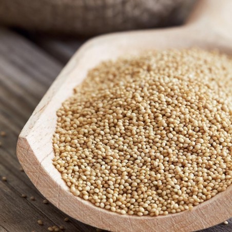 Price: €1.25 - Especia de amarante -