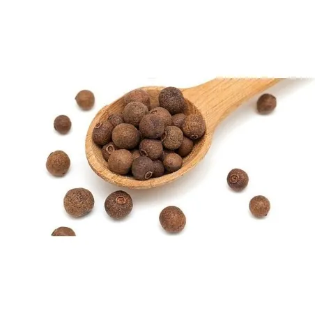 Allspice or pimenta spice