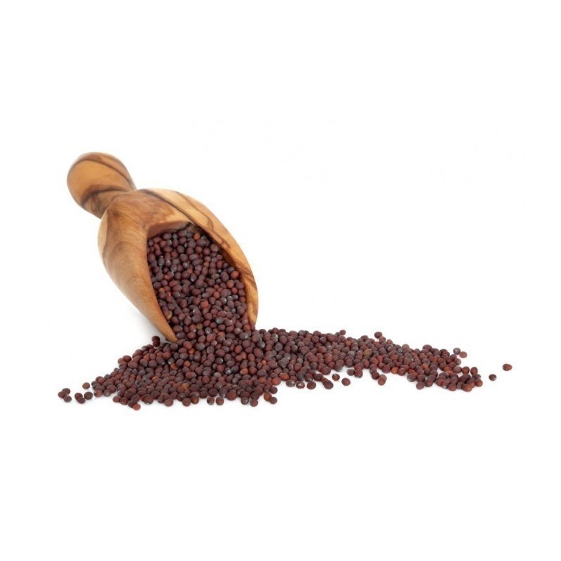 Price: €1.7 - Svart / brun senap kryddor - oslipade - 