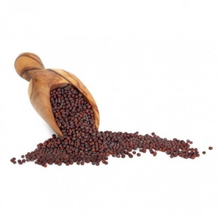 Price: €1.7 - Schwarze / braune Senfgewürze - ungemahlen -