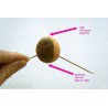 Price: €7.95 - Black Avocado Seeds (Persea americana) - 