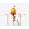 Price: €7.95 - Black Avocado Seeds (Persea americana) - 
