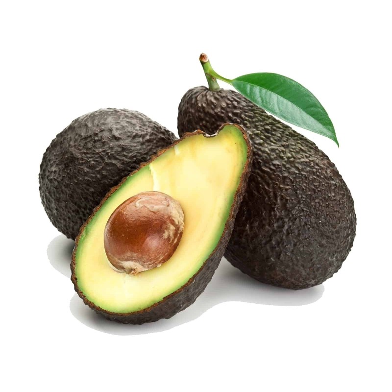Schwarze Avocado Samen (Persea americana)