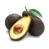 Schwarze Avocado Samen (Persea americana)