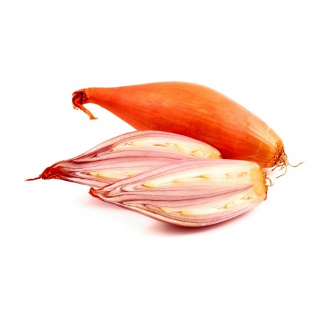 Price: €2.5 - Shallot Long French Bulbs -