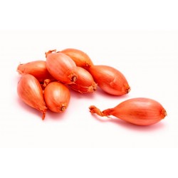Price: €2.5 - Shallot Long French Bulbs - 