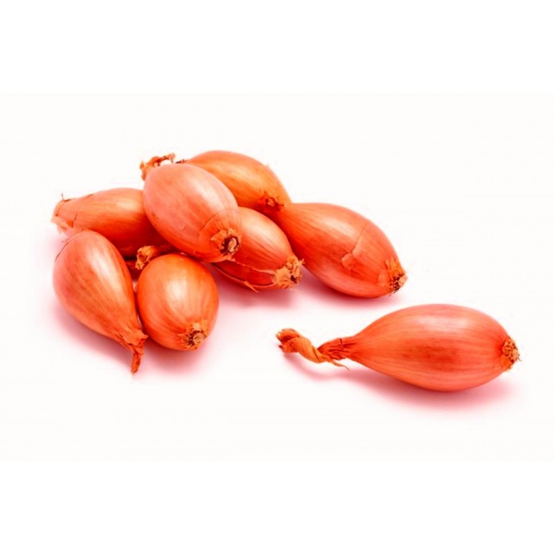 Scalogno lunghi Bulbi | 2,50 €