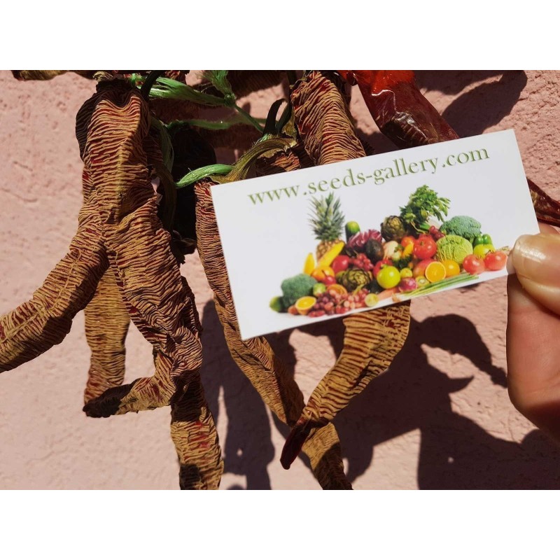 "Vezanka" Ljuta Paprika 4000 Semena 🌳🌼🌸🌿🌱🍉