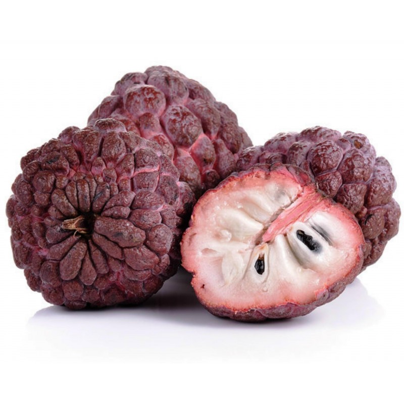 Price: €4.95 - Semillas de Cherimoya rojo RARO (Annona reticulata) - 