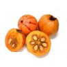 Price: €5.95 - Graines de Cowa Mangoustan, Kandis (Garcinia cowa) - 