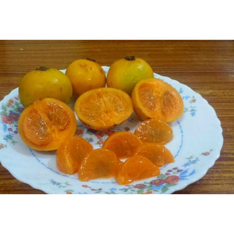 Price: €5.95 - Graines de Cowa Mangoustan, Kandis (Garcinia cowa) - 