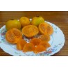 Price: €5.95 - Fröer Cowa Mangosteen, Kandis (Garcinia Cowa) - 