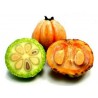 Price: €5.95 - Semi di Cowa mangostano, Kandis (Garcinia cowa) - 