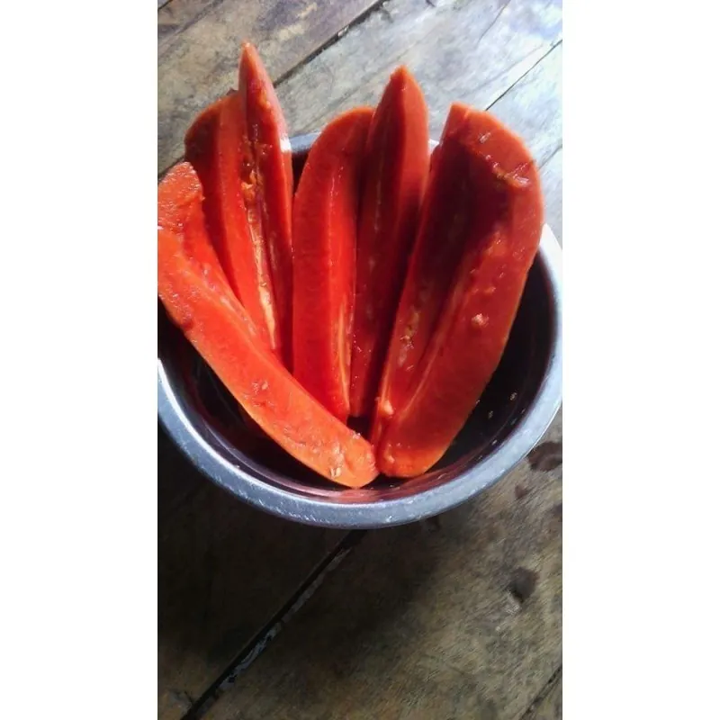 Red Papaya Seeds Rare (Carica papaya)