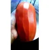 Red Papaya Seeds Rare (Carica papaya)