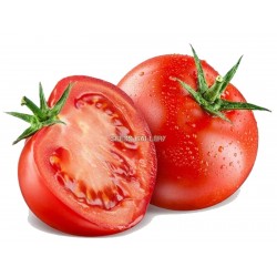 Price: €2.75 - 300 Semena Novosadski Jabucar Paradajz - Seeds Gallery
