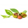 Price: €4.75 - Jojoba - Simondsija Seme (Simmondsia chinensis) - 