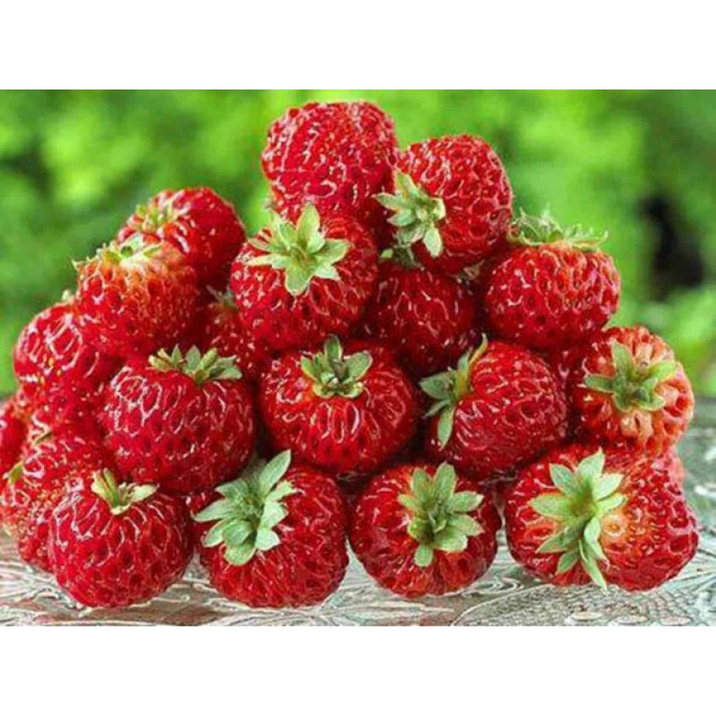 Price: €4 - Sementes de Morango “Framberry“  framboesa - 