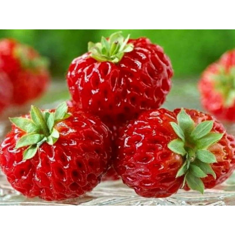 Price: €4 - Σπόροι εξωτικών Φράουλα "Framberry" - 