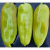 Price: €1.65 - Σπόροι γλυκού πιπεριού DUKAT - 