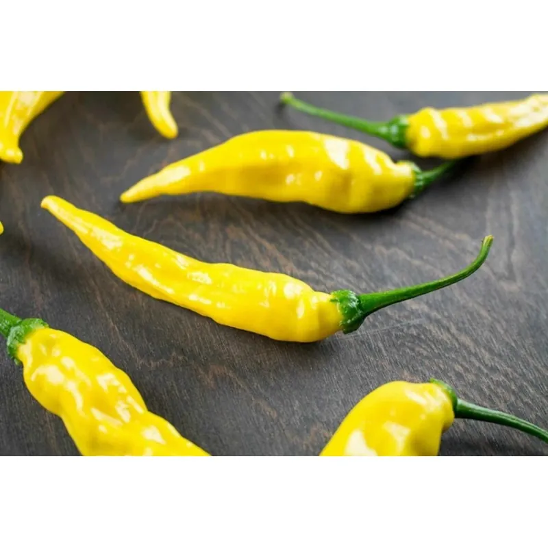 Σπόροι Τσίλι Πιπέρι Aji Pineapple