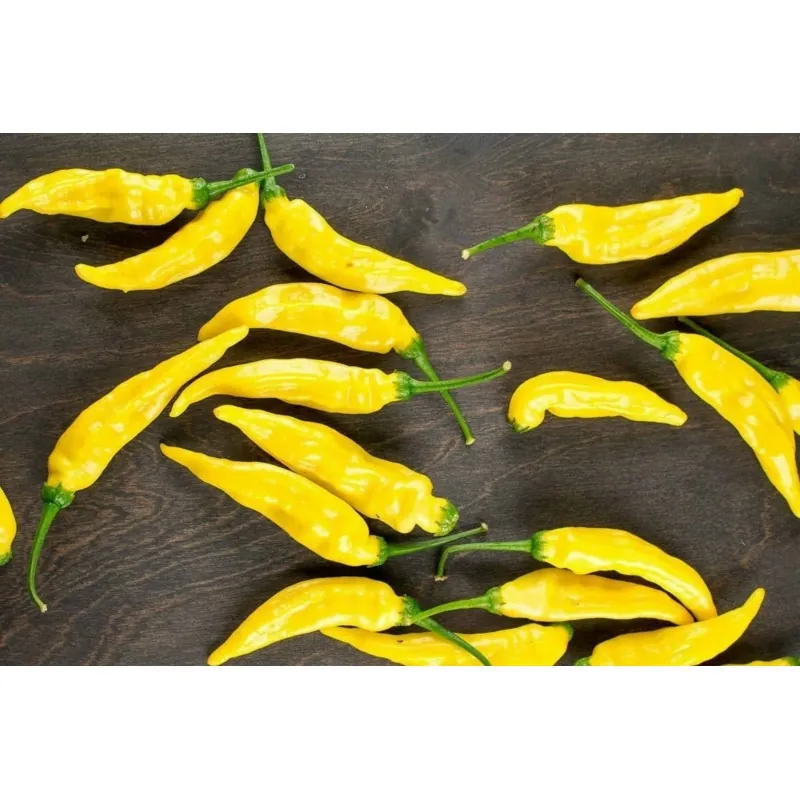 Semillas de pimiento Aji Pineapple