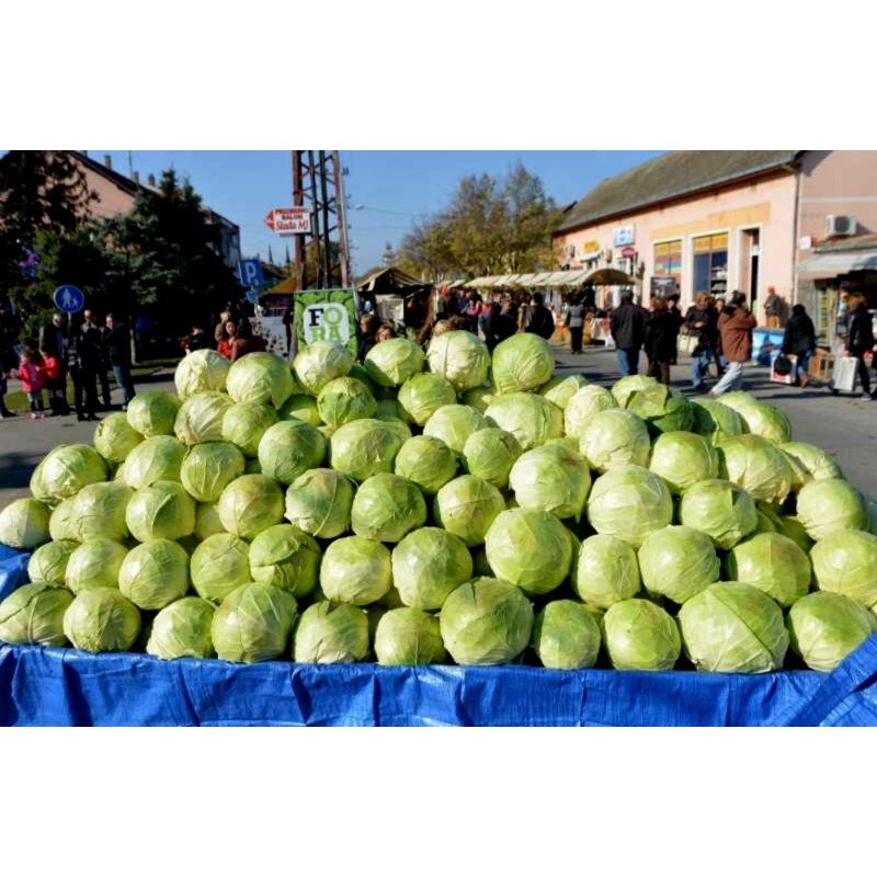 Price: €9.95 - 4000 Sementes de Repolho Futog - 