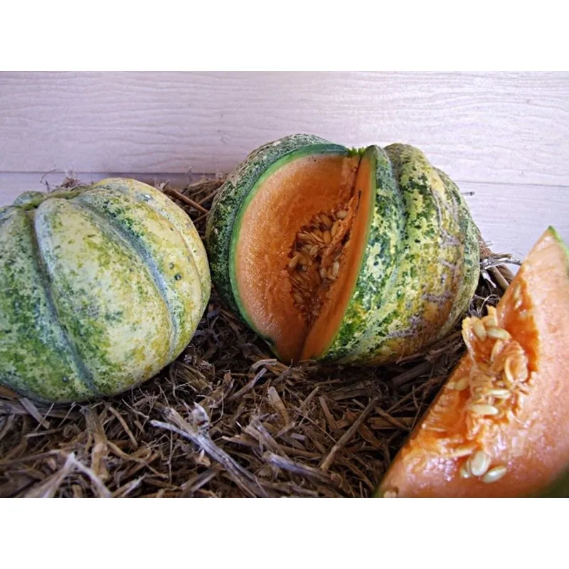 Zatta Melonen samen