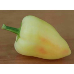 Ljuta Monika (Hot Monika) hot bell pepper seeds - 1.755