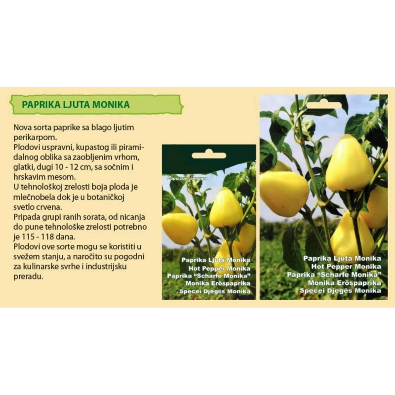 Ljuta Monika (Hot Monika) hot bell pepper seeds | €1.95