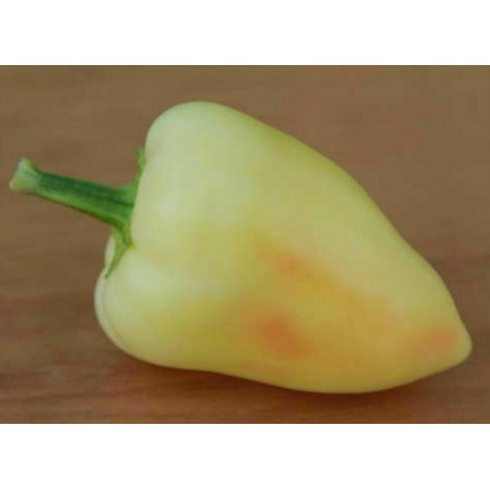 Big Hot White Pepper Seeds | €1.95
