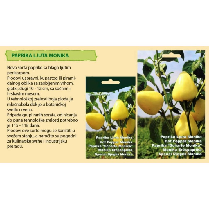 1200 seeds hot bell pepper Ljuta Monika (Hot Monika) - 14.4