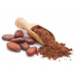 Morceaux de cacao crus - les meilleurs antioxydants
