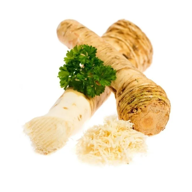 Tempero de rabanete (Armoracia rusticana)