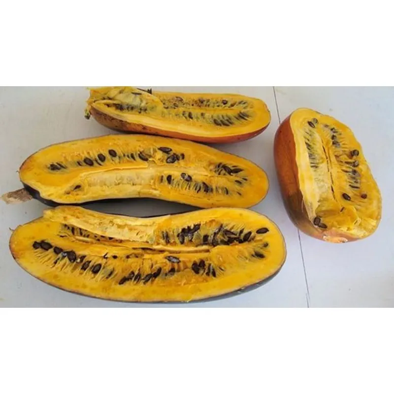 Cassabanana frukt Frön (Sicana odorifera)