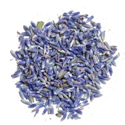 Spezie Biologiche