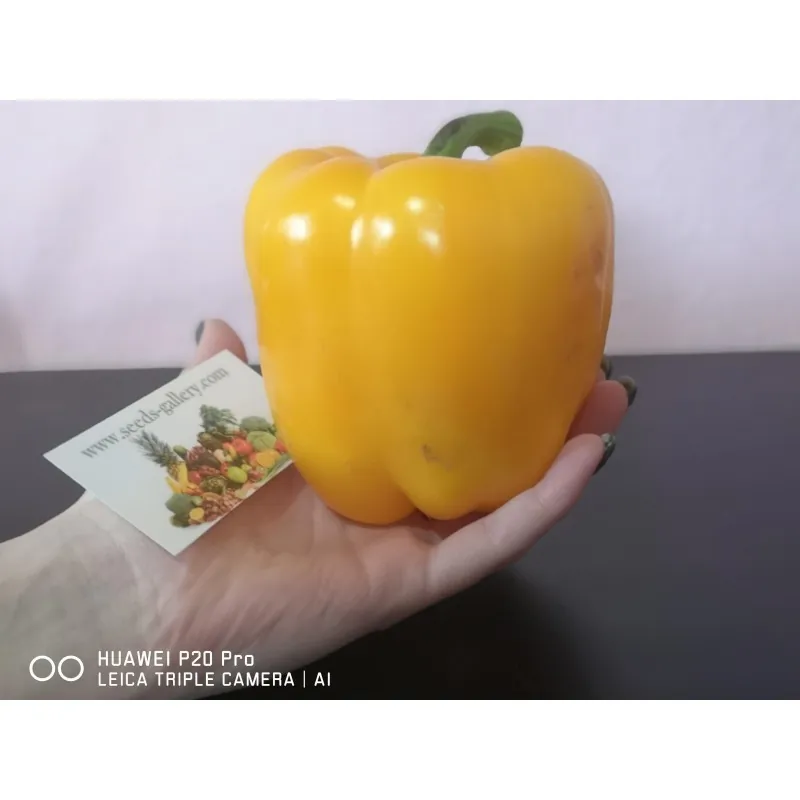 Red Giant Monster Sweet Pepper Seeds
