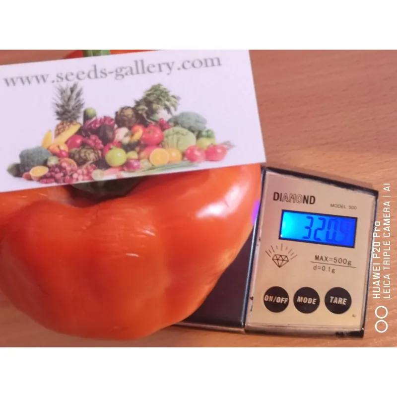 Red Giant Monster Sweet Pepper Seeds