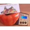 Red Giant Monster Sweet Pepper Seeds