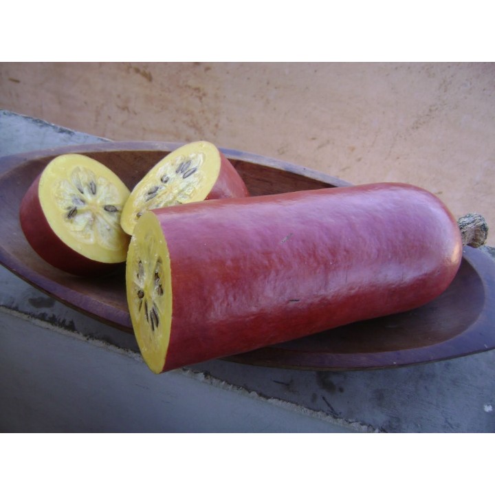 Cassabanana Seeds (Sicana odorifera) - 932.452121
