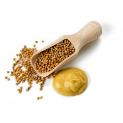 Yellow mustard spices - unground 1.25 - 1