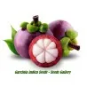 Mangostane, Mangostanbaum Samen (Garcinia Indica)