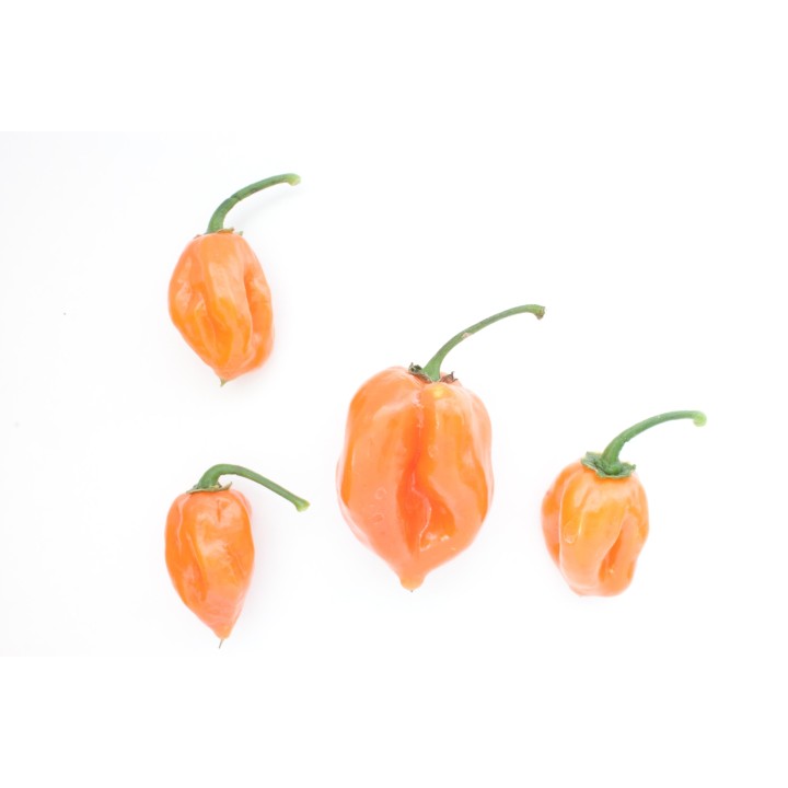 Habanero Peach Seeds - 234.57915