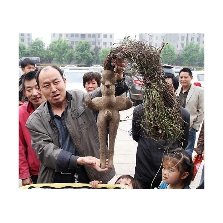 Fo-ti, He-shou-wu Seeds (Polygonum multiflorum) - 3.555