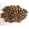 Price: €2.25 - Semi di albero spazzolino da denti (Salvadora persica) - 