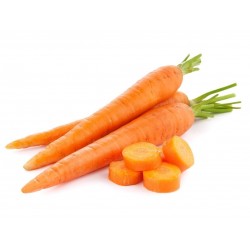 Price: €18.5 - 20g - 14.000 Sementes de Cenoura Danvers - 